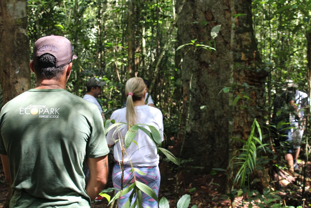 amazon ecopark jungle lodge