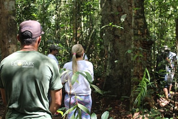 amazon ecopark jungle lodge