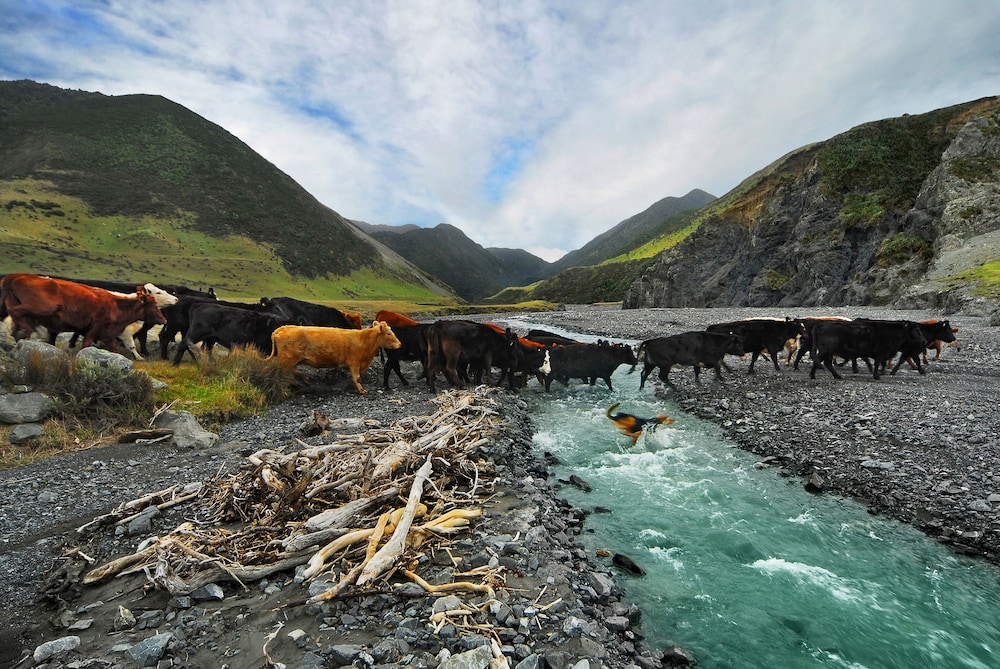 wharekauhau luxury country estate