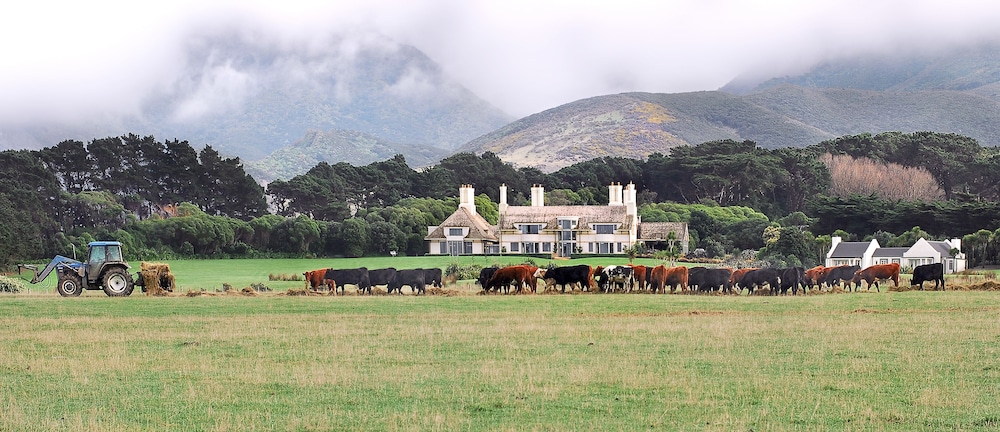 wharekauhau luxury country estate
