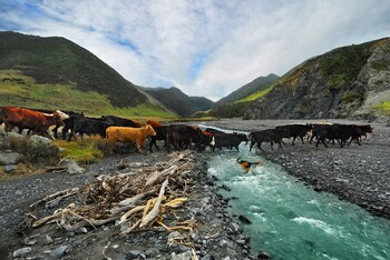 wharekauhau luxury country estate