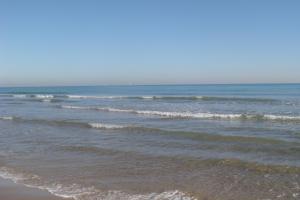 canet de berenguer