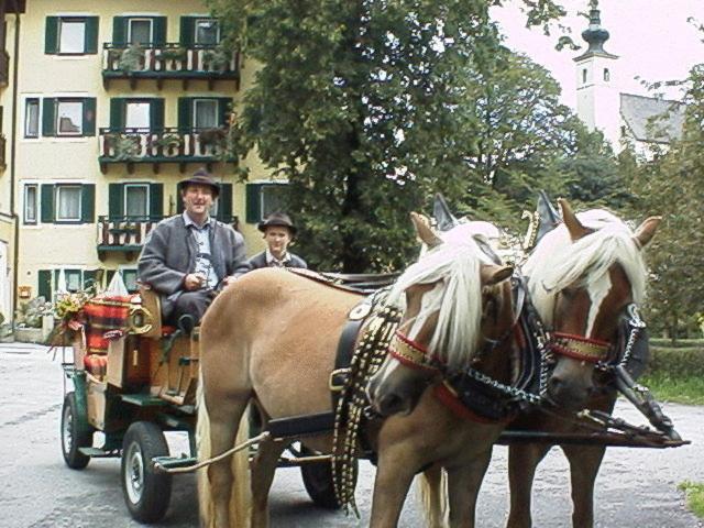 golling an der salzach