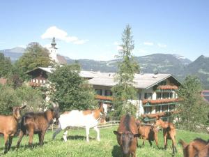 golling an der salzach
