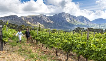 La Fontaine,Cape Winelands>>Cape Town,4 star