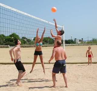 comitas isla del aire