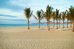 san jose del cabo