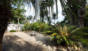 south villa guesthouse and garden