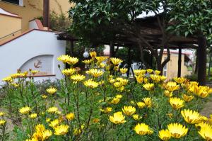 hotel la marticana