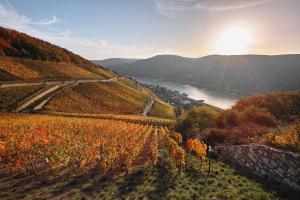 Rudesheimer Schloss,Rheingau-Taunus-Kreis>>Bingen Am Rhein,4 star