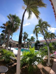 Arubiana Inn,Aruba>>Arikok National Park,3 star