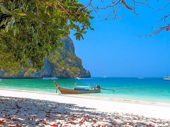 phi phi inn