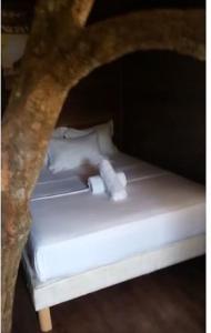 hotel gites de kribi