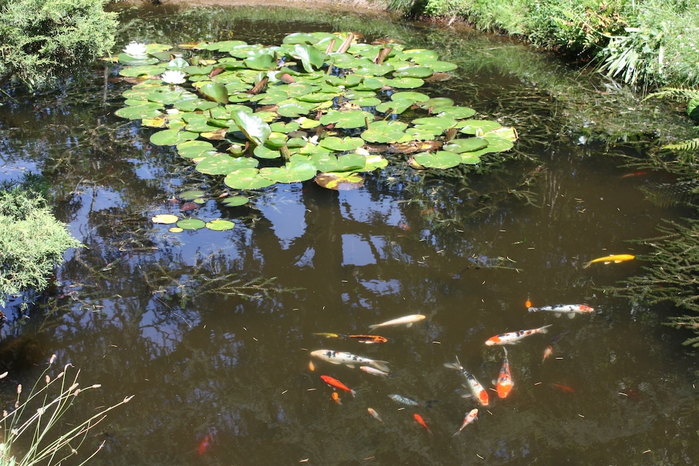 rsid spa loire and svre