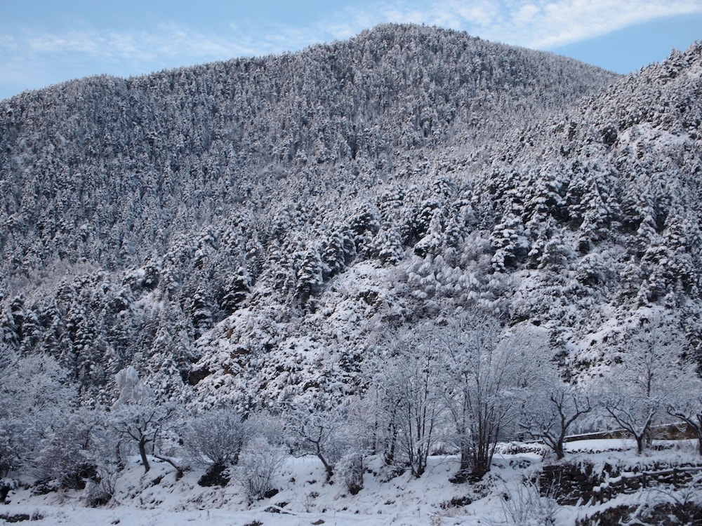 pierre and vacances andorra la tulipa