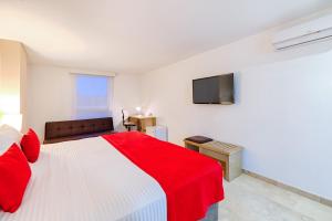 hotel ms ciudad jardin plus