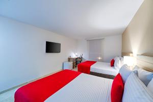 hotel ms ciudad jardin plus