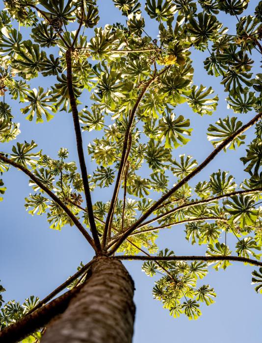 pousada galeria artes