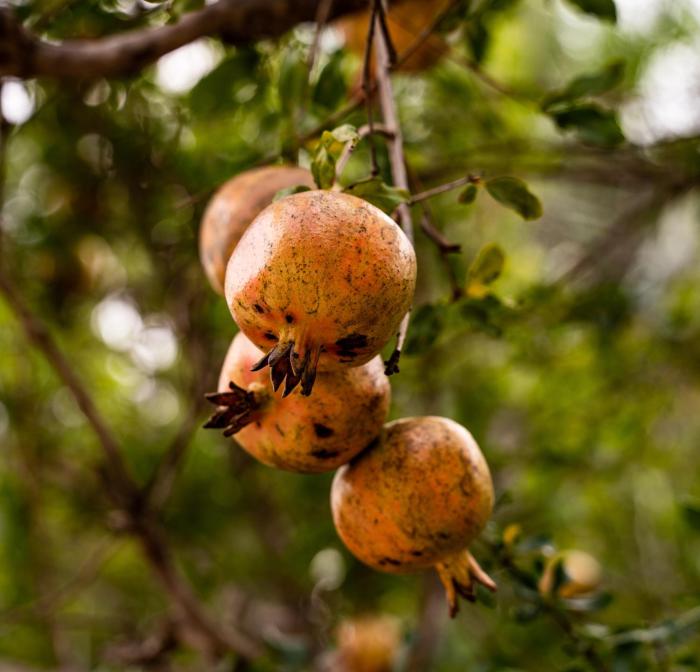 pousada galeria artes