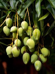 pousada galeria artes