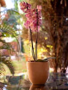 pousada galeria artes