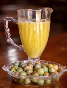 pousada galeria artes