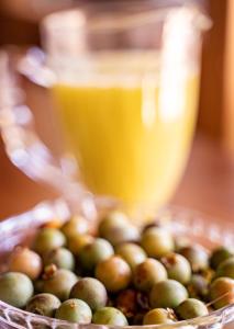 pousada galeria artes