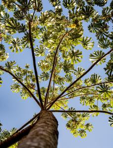 pousada galeria artes