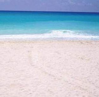 bel air collection resort and spa cancun