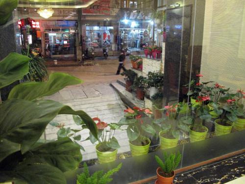sapa paradise hotel