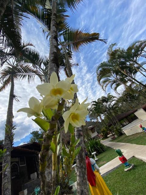 hotel fazendinha