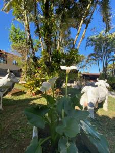 hotel fazendinha