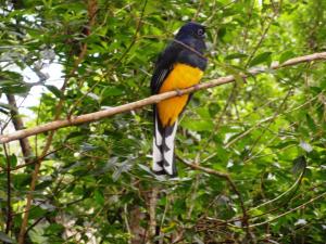 Pousada Praia Do Curral,Near The Spa Bridlington,3 star