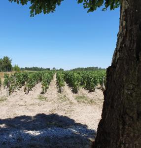 domaine de larchey