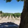 domaine de larchey