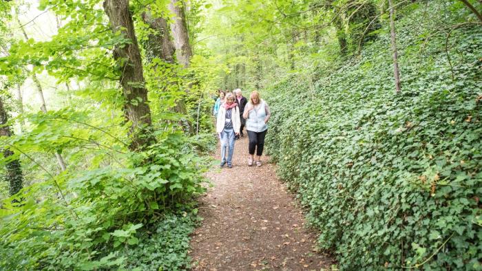 rothenburg ob der tauber