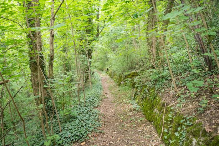 rothenburg ob der tauber