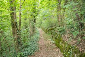 rothenburg ob der tauber