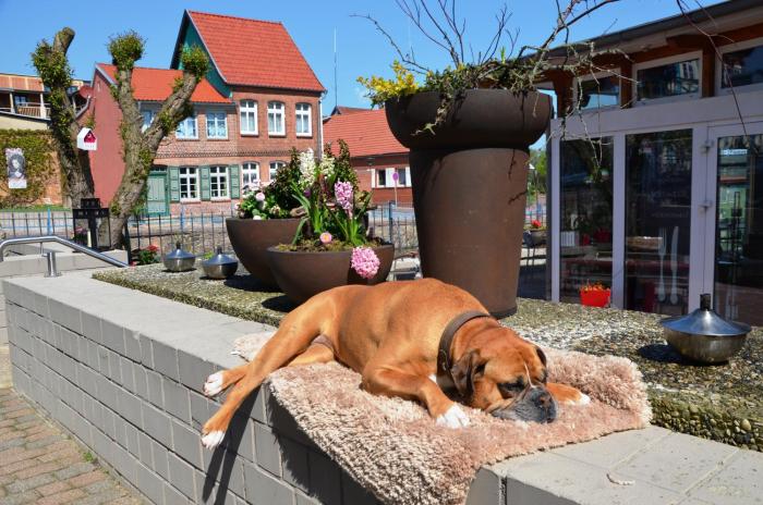 hotel und restaurant fackelgarten