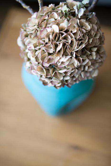 hotel und restaurant fackelgarten