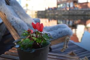 hotel und restaurant fackelgarten