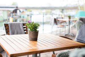 hotel und restaurant fackelgarten