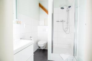 hotel historischer dorfgasthof hirsch