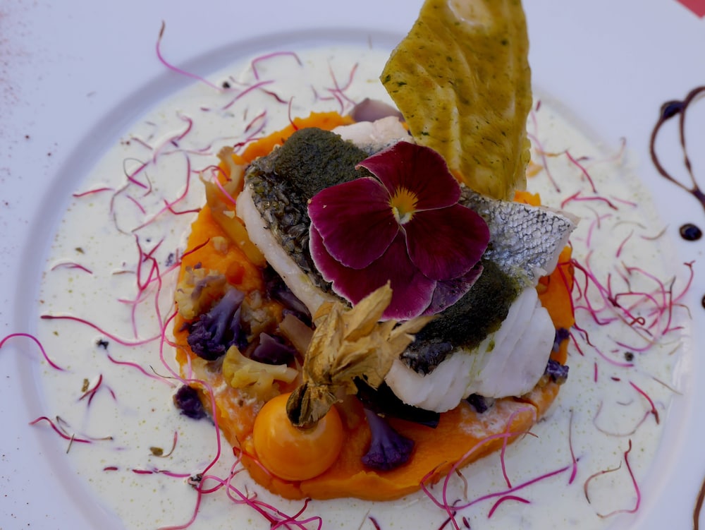 logis hotel du commerce quintin