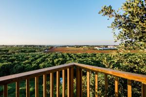 conversas de alpendre