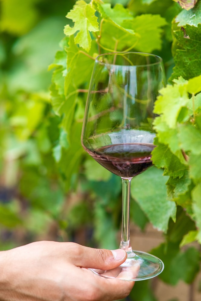 hotel riva degli etruschi