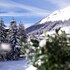 der berghof