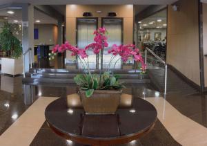 Garden Hotel,Ribeirão Preto>>Ribeirao Preto,3 star