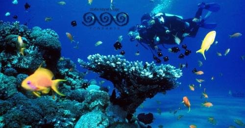 Mafia Island Lodge,Mafia Island>>Kilindoni,3 star