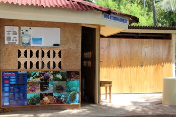 wellbeach dive resort